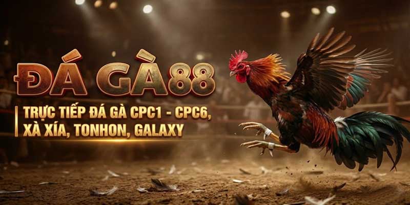 Đá Gà 88