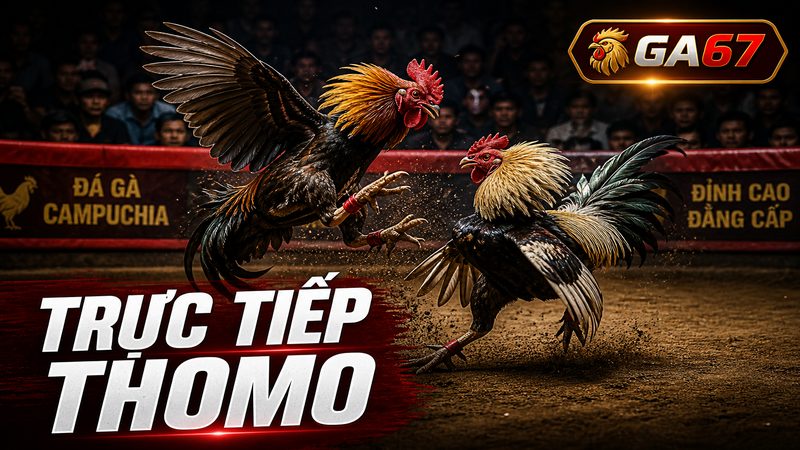 Trực tiếp Thomo