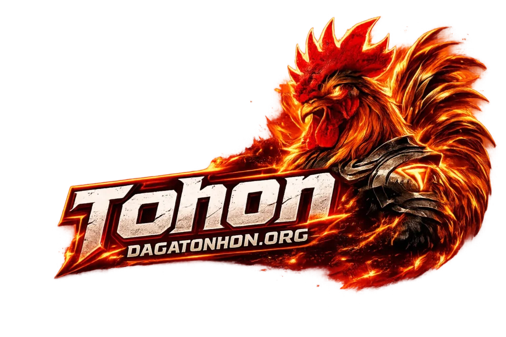 Đá Gà Tohon