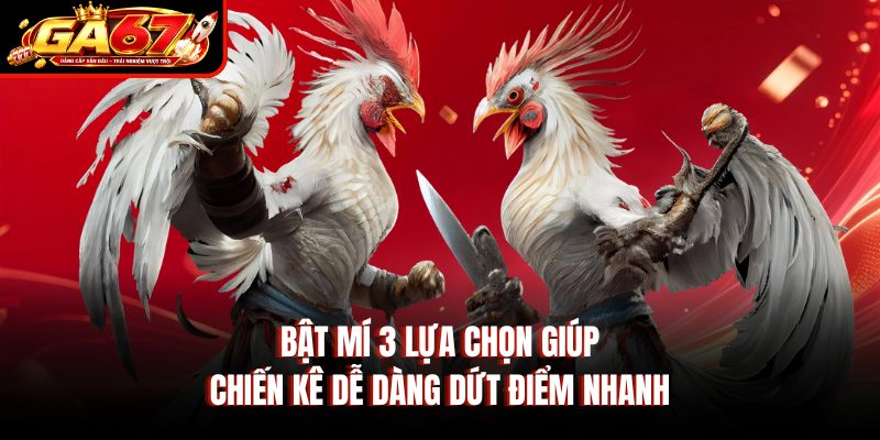 Bật mí 3 lựa chọn giúp chiến kê dễ dàng dứt điểm nhanh
