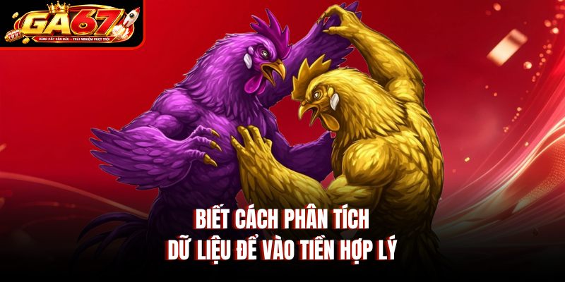 Biết cách phân tích dữ liệu để vào tiền hợp lý