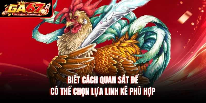 Biết cách quan sát để có thể chọn lựa linh kê phù hợp