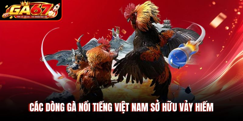 Các dòng gà nổi tiếng Việt Nam sở hữu vảy hiếm