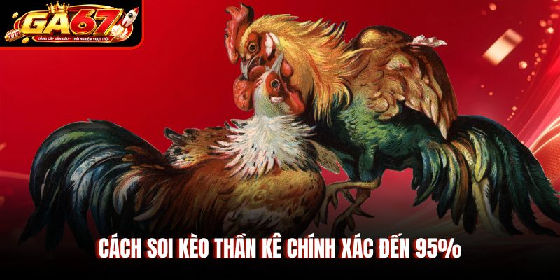 Cách soi kèo thần kê chính xác đến 95%