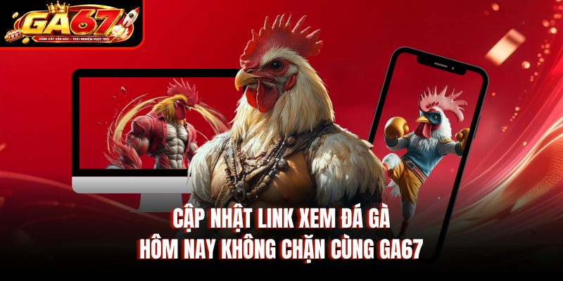 Cập nhật link xem đá gà hôm nay không chặn cùng GA67