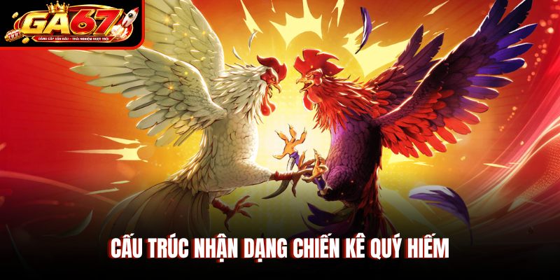 Cấu trúc nhận dạng chiến kê quý hiếm
