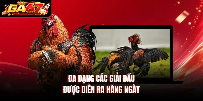 Đa dạng các giải đấu được diễn ra hằng ngày