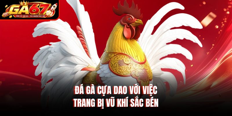 Đá gà cựa dao với việc  trang bị vũ khí sắc bén