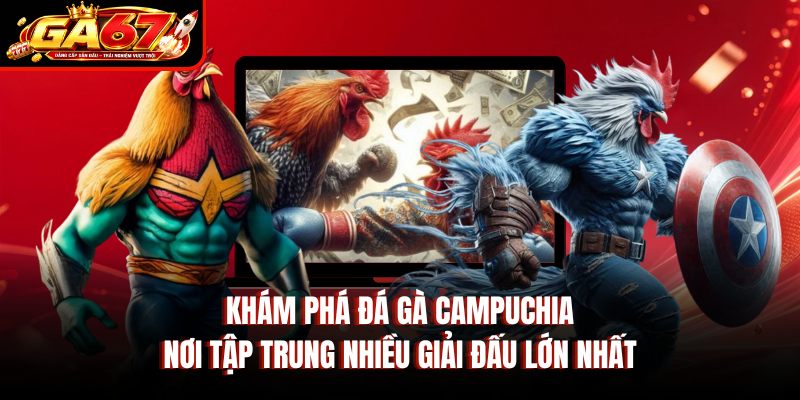 Khám phá đá gà Campuchia nơi tập trung nhiều giải đấu lớn nhất