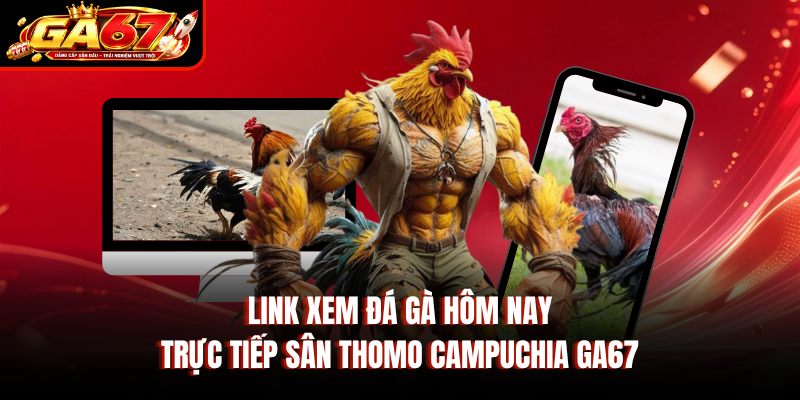 Link Xem Đá Gà Hôm Nay – Trực Tiếp Sân Thomo Campuchia GA67