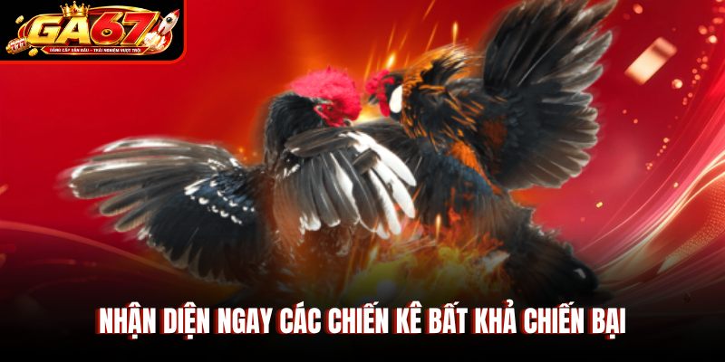 Nhận diện ngay các chiến kê bất khả chiến bại