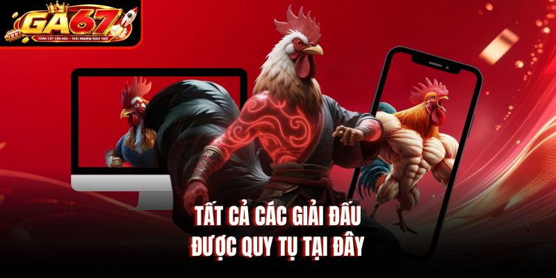 Tất cả các giải đấu được quy tụ tại đây