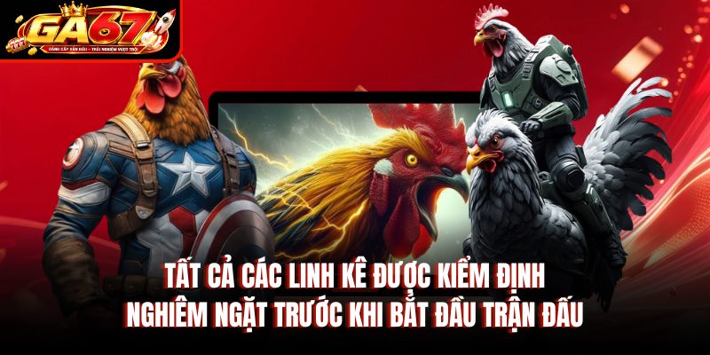 Tất cả các linh kê được kiểm định nghiêm ngặt trước khi bắt đầu trận đấu