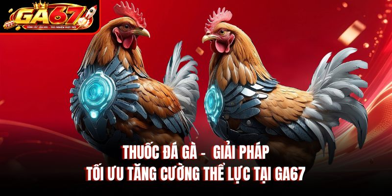 Thuốc Đá Gà –  Giải Pháp Tối Ưu Tăng Cường Thể Lực Tại GA67