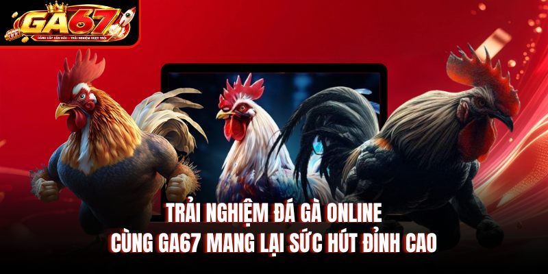 Trải nghiệm đá gà online cùng GA67 mang lại sức hút đỉnh cao