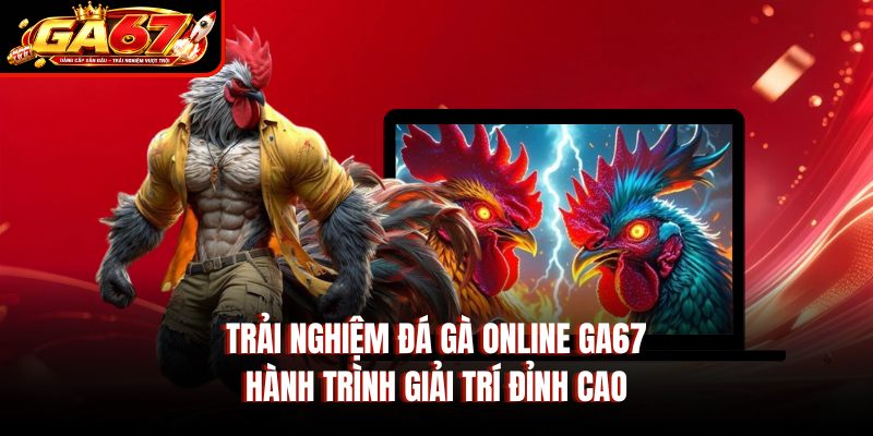 Trải Nghiệm Đá Gà Online GA67 – Hành Trình Giải Trí Đỉnh Cao