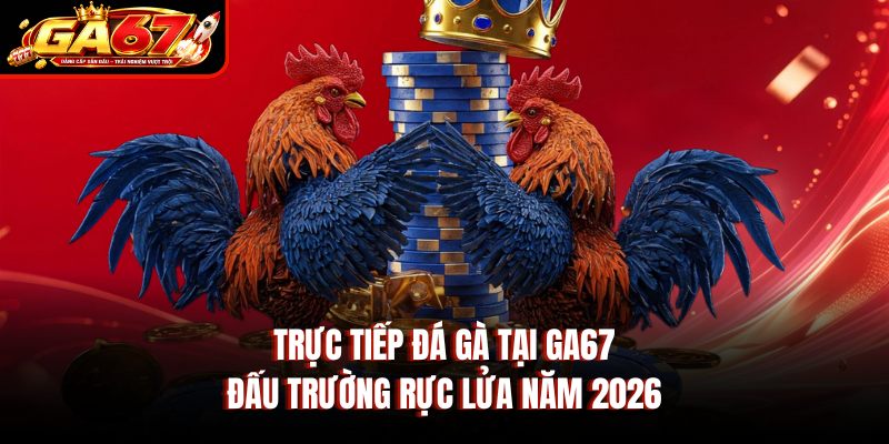 Trực Tiếp Đá Gà Tại GA67 – Đấu Trường Rực Lửa Năm 2026