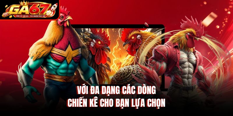 Với đa dạng các dòng chiến kê cho bạn lựa chọn