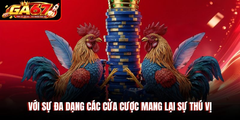 Với sự đa dạng các cửa cược mang lại sự thú vị