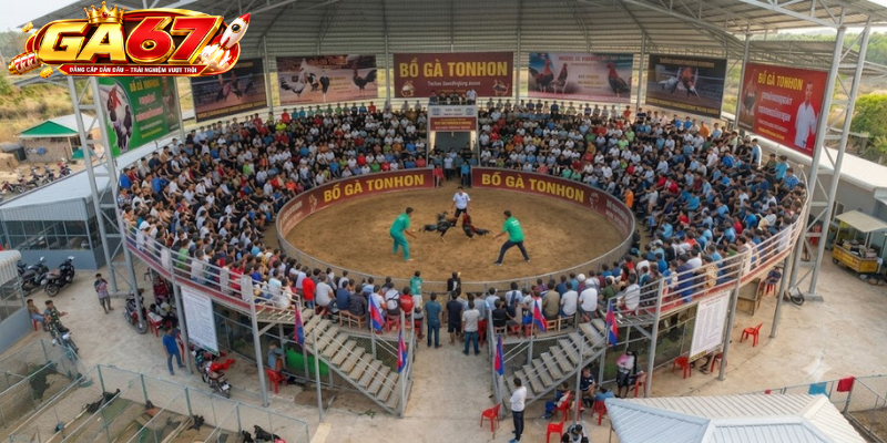 Đặc Điểm Trận Đấu Tại Bồ Gà Tonhon